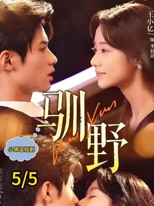 优优影视第九个房间剧集海报